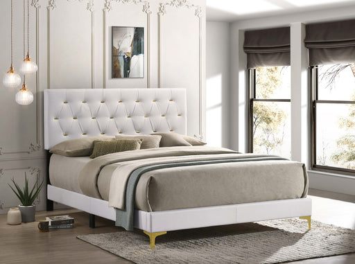 Kendall Tufted Upholstered Panel Bed White - iDEAL Furniture (Danbury, CT)