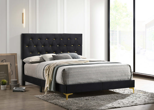Kendall Tufted Panel Bed Black and Gold - iDEAL Furniture (Danbury, CT)