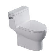 1 Piece Toilet, Soft Closing Seat - White